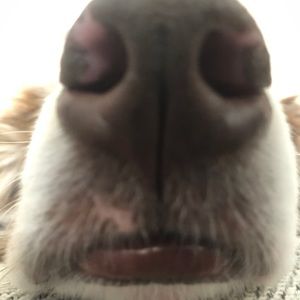 Meet your Posher, Evan